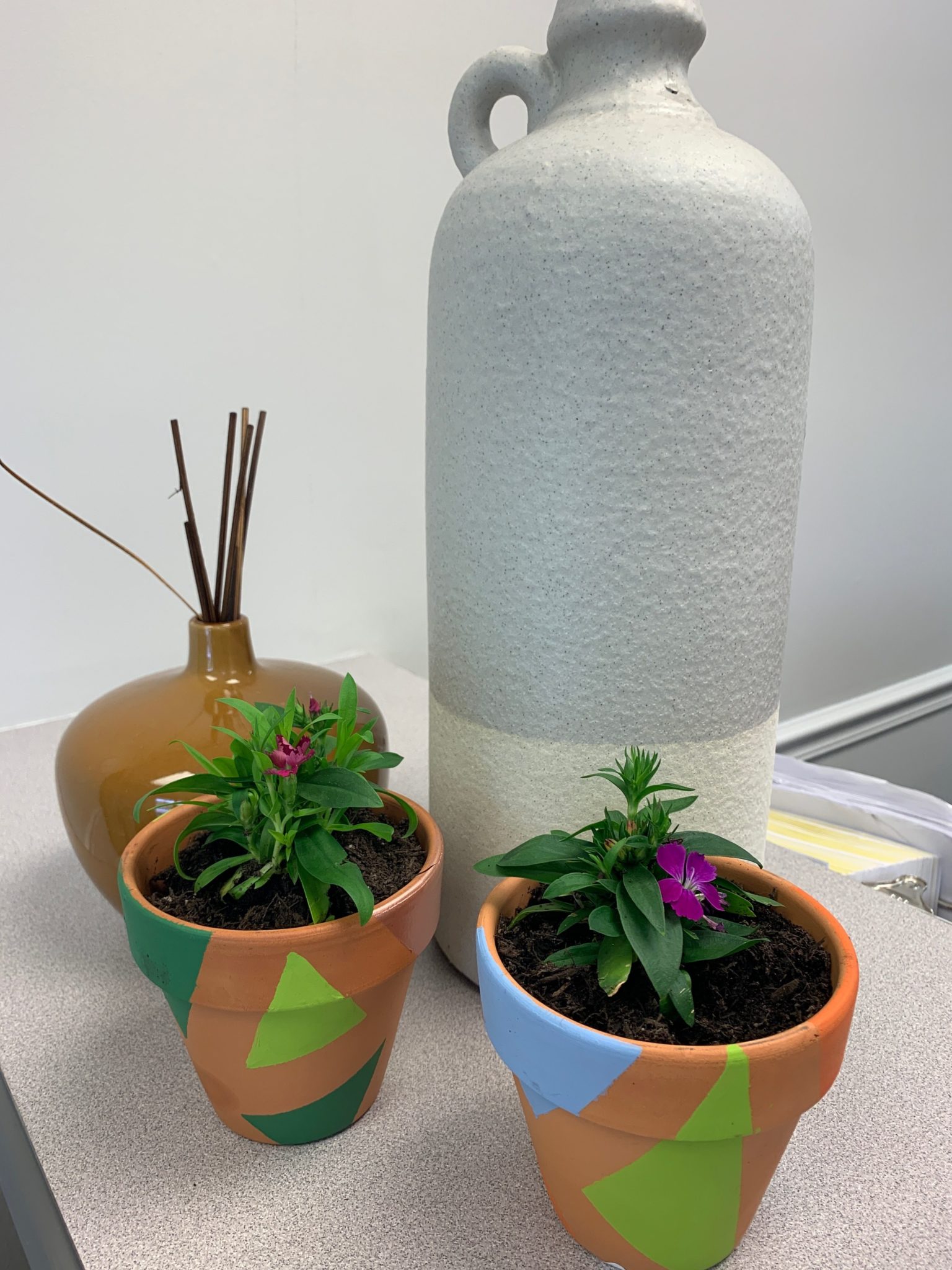 How Can a Seed Die and Still a Plant? Families Free